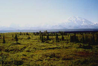 Denali, AK